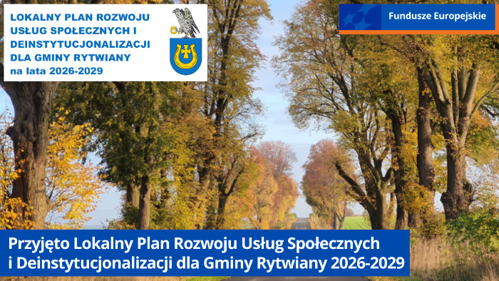 Droga między polami. Po obu stronach rosną drzewa